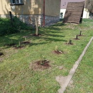2024_termkornyvedelem_5_20240422